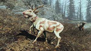 Because 3 radstag spawns from time to time there i had to load one of my previ. Radstag Fallout Wiki Fandom