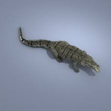 Realistic Crocodile Animation 3d Model In 2020 3d Model Animation Crocodile