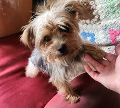 Sunset at Left foot lake rd and Left foot lake beach in Crivitz, Wisconsin