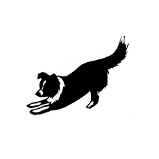Border Collie Play Rubber Stamp 5 75 Liked On Polyvore Featuring Dogs Puppy And Silhouette Border Collie Art Dog Outline Border Collie Silhouette