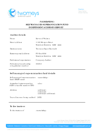Independent Auditor S Report Templates At Allbusinesstemplates Com