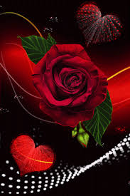 La rosa rossa simboleggia l'amore, romanticismo, passione e desiderio carnale. Pin By Ada Del Ferro On Edited Images Rose Flower Wallpaper Flower Phone Wallpaper Romantic Gif