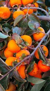 Pin On Nourish To Moreish