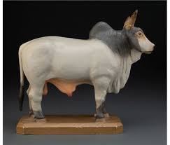 Brahman bull high resolution zbrush asset. Darge Fred Brahman Bull Mutualart