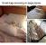 Cool Dog Beds