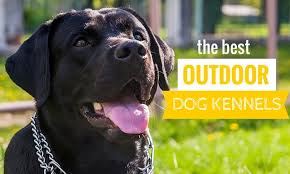 We did not find results for: 5 Best Outdoor Dog Kennels Canines Safe Outside 2021 Reviews