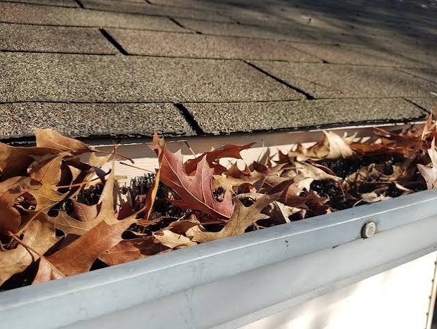 The Dangers of Falling Leaves and How to Catch Them With a Gutter Guard