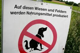 Ein Offener Brief Von Familie D An Alle Hundehalter