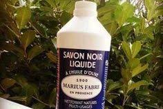 16 Utilisations Du Savon Noir Que Tout Le Monde Devrait Connaitre Savon Noir Savon Noir Liquide Trucs Et Astuces