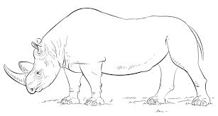 This rhino coloring page will helps kids to focus while developing creativity, motor skills and color recognition. African Rhino Coloring Page Free Printable Coloring Pages For Kids