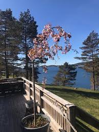 Kommunefakta gir deg nøkkeltall for din kommune, og er en inngang til ssb sin statistikk på kommunenivå. Bilder Fra Sarpsborg Kommune Utvalgte Bilder Fra Sarpsborg Kommune Ostlandet Tripadvisor