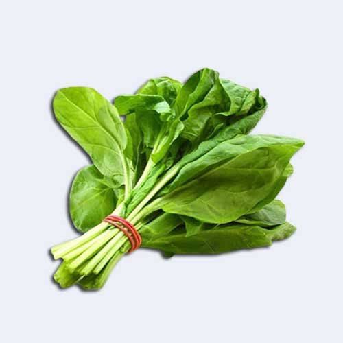 পালং শাক