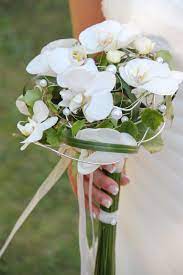 Das video zeigt orchideen brautstrauß. Wunderschoner Brautstrauss Aus Weissen Orchideen Blumenstrauss Hochzeit Brautstrauss Hochzeitsblumen