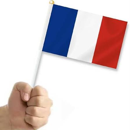 Petit Drapeau Français 50 Pièces,21x14 cm, Résistant Haute Qualité,Supporter EQUIPE DE FRANCE,Drapeau (d'un pays) : Amazon.fr: Jardin