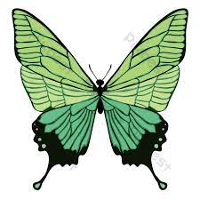 Gambar baru diunggah setiap minggu. Ilustrasi Kartun Rama Rama Hijau Elemen Grafik Ai Percuma Muat Turun Pikbest