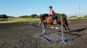 Image result for monika babi%u0161ov 