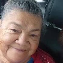 Ernestina Galvan Vela Obituary (2024)