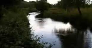The Lake Isle Of Innisfree Wb Yeats Poem Set To Music Yeats Poems Innisfree Lake