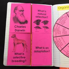 Natural Selection Lesson Plan A Complete Science Lesson Using The 5e Method Of Instruction Kesler Science Evolution Science Nature Lessons Science Lessons