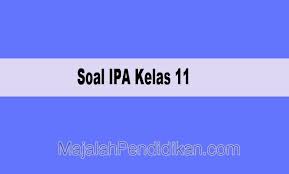 Check spelling or type a new query. Soal Ipa Kelas 11 Sma Ma Smk 2021 Dan Kunci Jawabannya