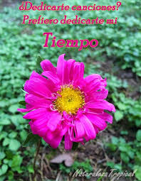 Postales De Amor Para Celebrar El Dia De San Valentin Postales De Amor Dia De San Valentin Amor