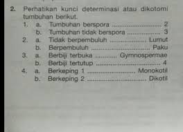 Sains 02 april 2020 author : Apabila Diidentifikasi Menggunakan Kunci Dikotomi Tersebut Hasil Yang Diperoleh Untuk Pohon Mangga Brainly Co Id