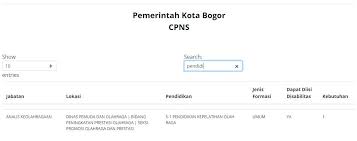S1 teknologi informasi, s1 teknik elektro, s1 teknik informatika. Formasi Cpns 2021 Untuk Lulusan S1 Pendidikan Semua Yang Kita Tahu