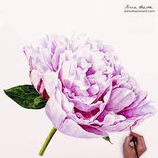 Watercolor Flowers Discover Peony Painting In Progress Well Meet Again Dont Know Where Dont Kn In 2020 Peony Painting Watercolor Flowers Paintings Flower Painting