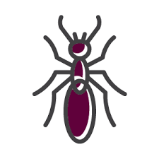 We want to earn your business every visit. Termite Pretreatment Dallas Texas Pest Management Of Texas Inc