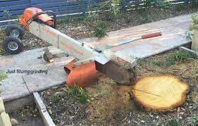 Stump grinder with rotating cutting disk. Small Portable Stump Grinder Just Stump Grinding