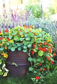 45 Home Terrace Garden Inspirations You Must Like It Neat Fast Garden Inspiration Easy Garden Perennial Garden