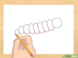 Repeat after me=====🔴 please subscribe to our channel and. How To Draw A Caterpillar 7 Steps With Pictures Wikihow