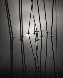 Best Black And White Nature Photos Abstract Photography Lake House Art Abstract Print Lake Photography Black And White Abstract Photography Abstract Nature Abstract Photography Black And White Photography Black And White Abstract