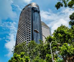 Taì yáng hua), a calque of the english word sunflower, rather than the native term, (chinese: Singapore Regulator To Review Envysion Risk Controls After Losses Global Trade Review Gtr