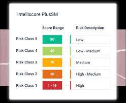 Business Credit Scores Reports Free Business Credit