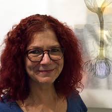 University of Redlands