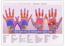 reflexology charts for hands click for interactive maps