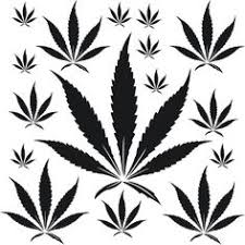 Maybe you would like to learn more about one of these? Weed