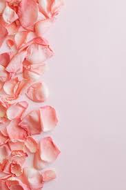 We'll see what others' will hear though. 100 000 Best Aesthetic Background Photos 100 Free Download Pexels Stock Photos