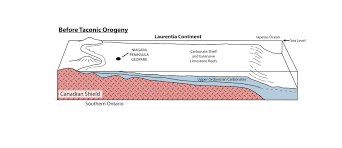 Image result for Oreophyton