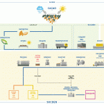 Food Processing Flow Chart Diagram Seafood Industry Pet