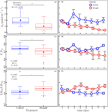 Image result for Xerophyta scabrida