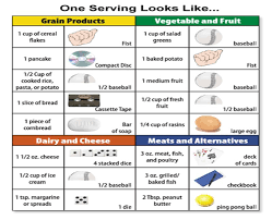 Food Cravings Meaning Google Search Food Portion Sizes