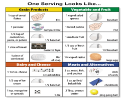 portion sizes helper food portion sizes portion size