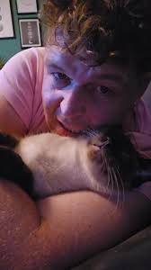 Reggie The Cat in Porthleven