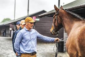 GOFFS UK DONCASTER SPRING STORE SALE: Outstanding result for Walk In The  Park 20 May 2022 Free
