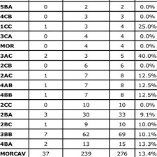 scoring system developed for day 4 embryos grade 1 early