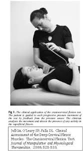 Deep Neck Flexor Stabilisation Protocol Physiopedia Universal Access To Physiotherapy Knowledge Core Muscles Exercise Muscle