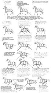 Will give a steady feedback and would call you out as and when you do sloppy work or miss a deadline. 10 Inconceivable Drawing Animals In The Zoo Ideas Horse Drawings Animal Drawings Horse Drawing