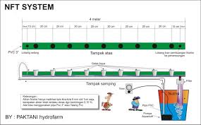 Fertigasi tidak lebih dari teknik yang digunakan dalam pertanian dan itumembolehkan air dan baja digunakan dalam sistem pengairan. Jenis Jenis Sistem Budidaya Tanaman Secara Hidroponik Ayo Menanam